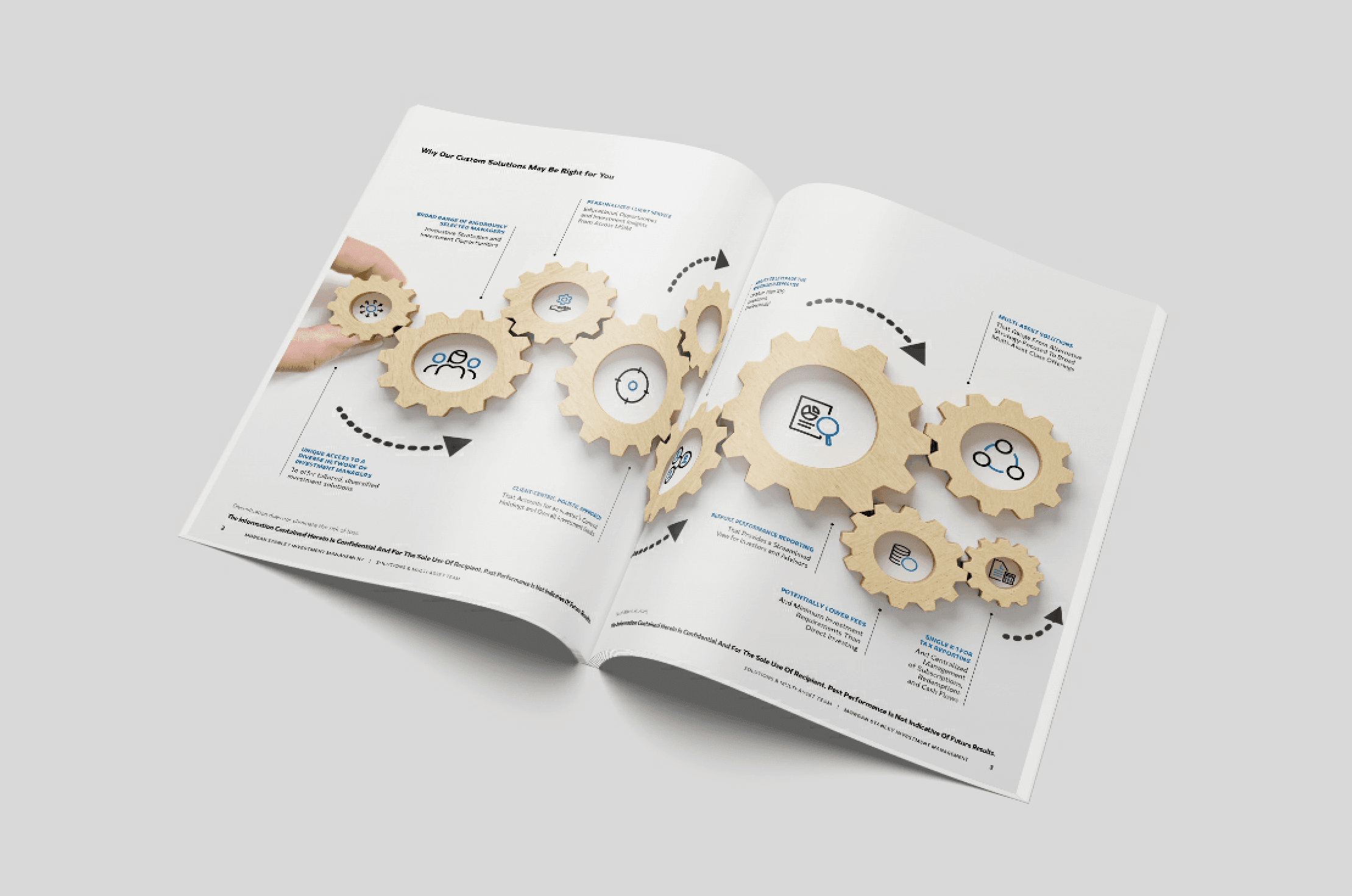 Custom Alternatives Brochure
