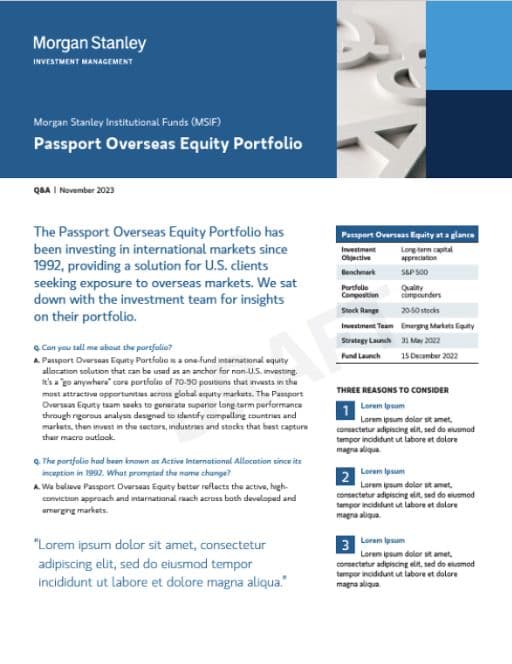 Passport Overseas Equity Portfolio